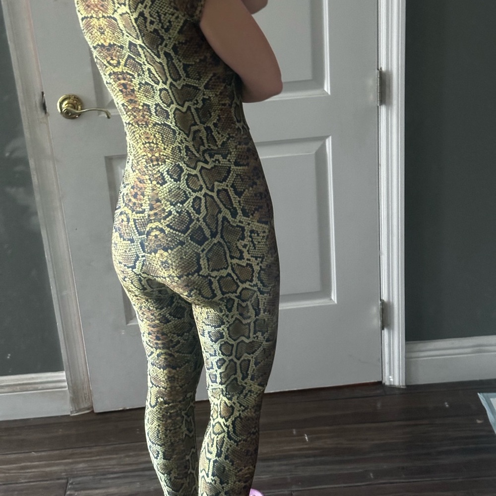 Bodysuits - Picture 6 of 16